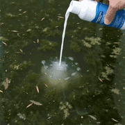 Pool Water Purifier Liquid