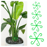 🏆Flash Sale⚡ 50K+ SOLD! Almost Gone-🌿Plant Stem Support Set