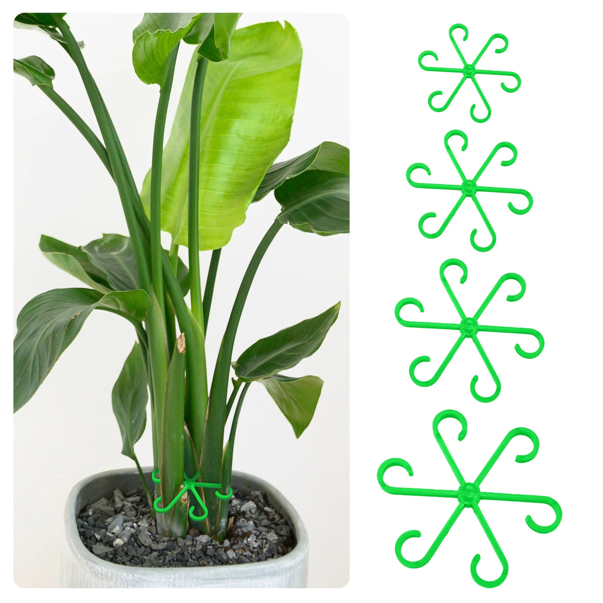 🏆Flash Sale⚡ 50K+ SOLD! Almost Gone-🌿Plant Stem Support Set
