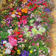 💝Mixed Perennial Flowers Seeds30- 60kinds mixed