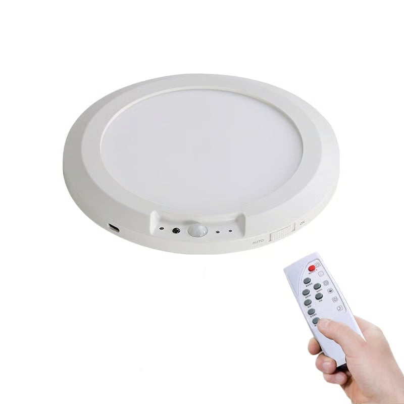 Motion Sensor Ceiling Light