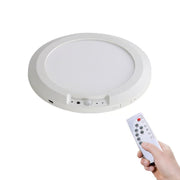 Motion Sensor Ceiling Light