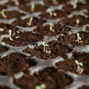 ✨Premium Organic Coconut Coir Bricks for Plants（Size：5*1.5cm）