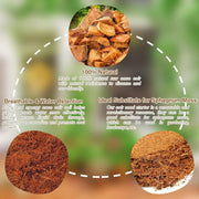 ✨Premium Organic Coconut Coir Bricks for Plants（Size：5*1.5cm）