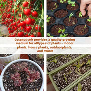 ✨Premium Organic Coconut Coir Bricks for Plants（Size：5*1.5cm）