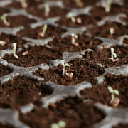 ✨Premium Organic Coconut Coir Bricks for Plants（Size：5*1.5cm）