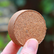 ✨Premium Organic Coconut Coir Bricks for Plants（Size：5*1.5cm）