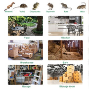 Stainless Steel Automatic Mousetrap