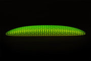 🔥Worm Big Fidget Toy