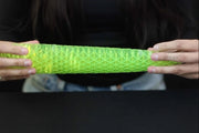 🔥Worm Big Fidget Toy